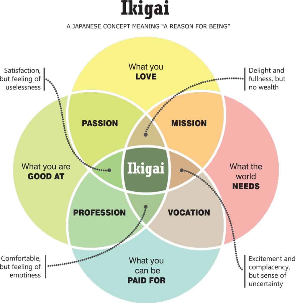 My take on the book 'Ikigai'